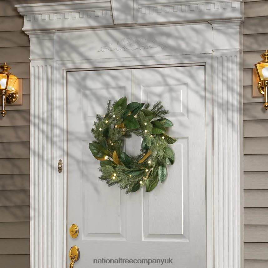 Greenery | National Tree Company 24\ Magnolia Mix Pine Wreath with LED Lights F2L4F294